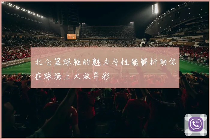 北仑篮球鞋的魅力与性能解析助你在球场上大放异彩