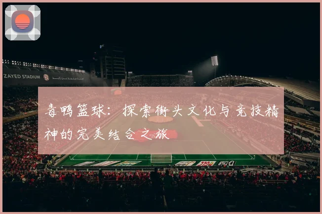 毒鸭篮球：探索街头文化与竞技精神的完美结合之旅