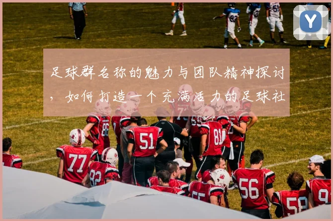 足球群名称的魅力与团队精神探讨，如何打造一个充满活力的足球社群