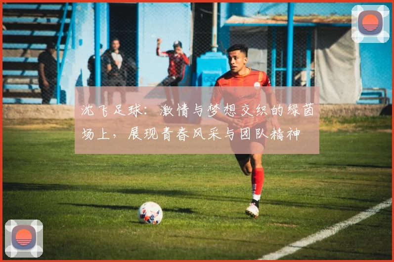 沈飞足球：激情与梦想交织的绿茵场上，展现青春风采与团队精神