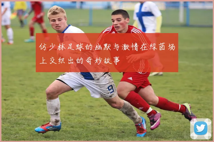 仿少林足球的幽默与激情在绿茵场上交织出的奇妙故事