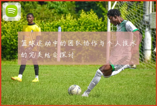 篮球运动中的团队协作与个人技术的完美结合探讨