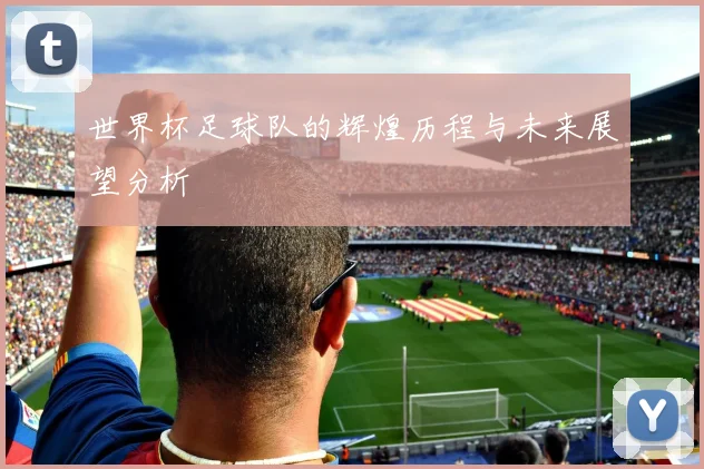 世界杯足球队的辉煌历程与未来展望分析