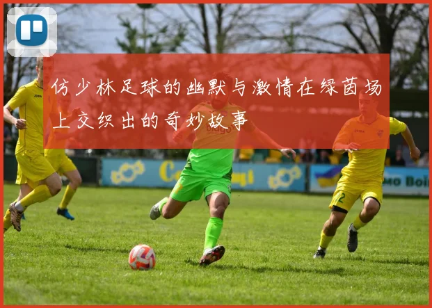 仿少林足球的幽默与激情在绿茵场上交织出的奇妙故事