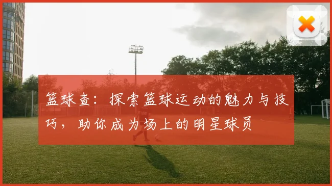 篮球查：探索篮球运动的魅力与技巧，助你成为场上的明星球员
