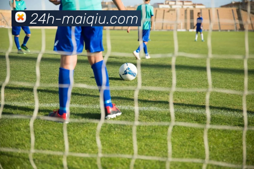 买球推荐品牌故事